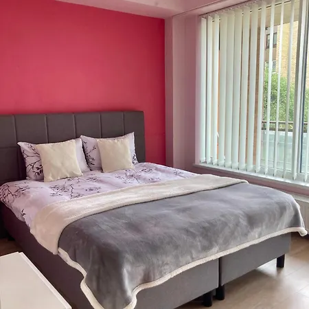 Sunny Lotus Apartamentai Apartment Druskininkai